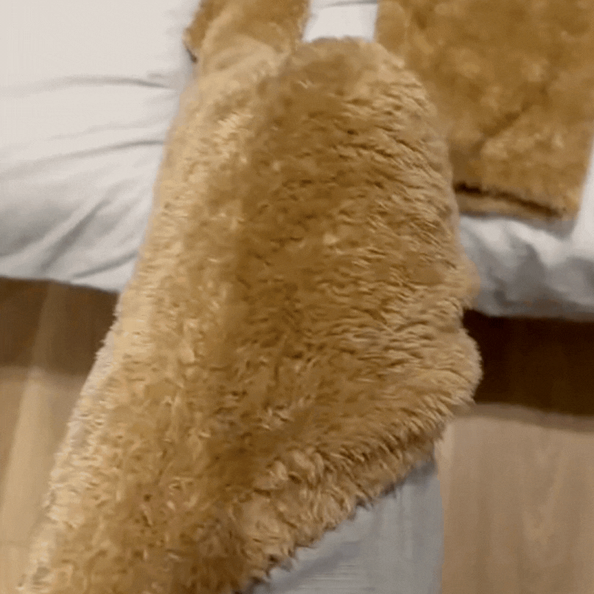 The Plushie Socks